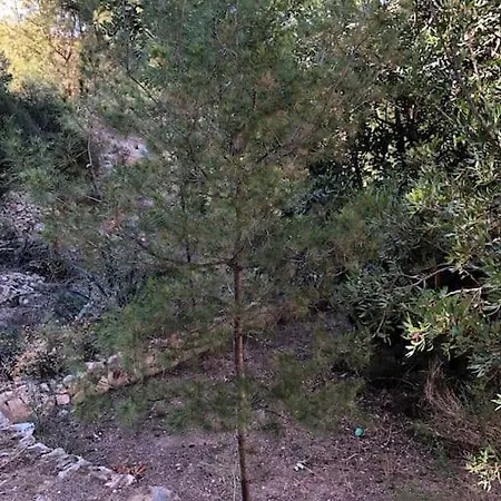 Διαμέρισμα Casa Con Piscina *